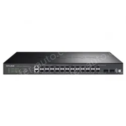 All-100 Gigabit Layer 3 network management switches