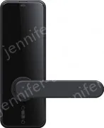 Smart door lock C89