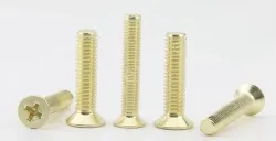 Golden Flat Head Screws M3*12