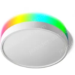 Smart lamps ZJ-BWBL-RGBWW-24W